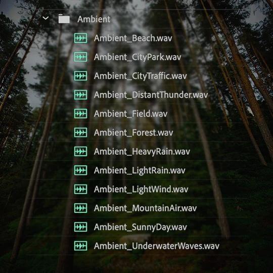 115个热门婚礼短片剪辑拟音、环境、氛围、转场音效素材 RunawayVows – Wedding SFX Pack（13180）