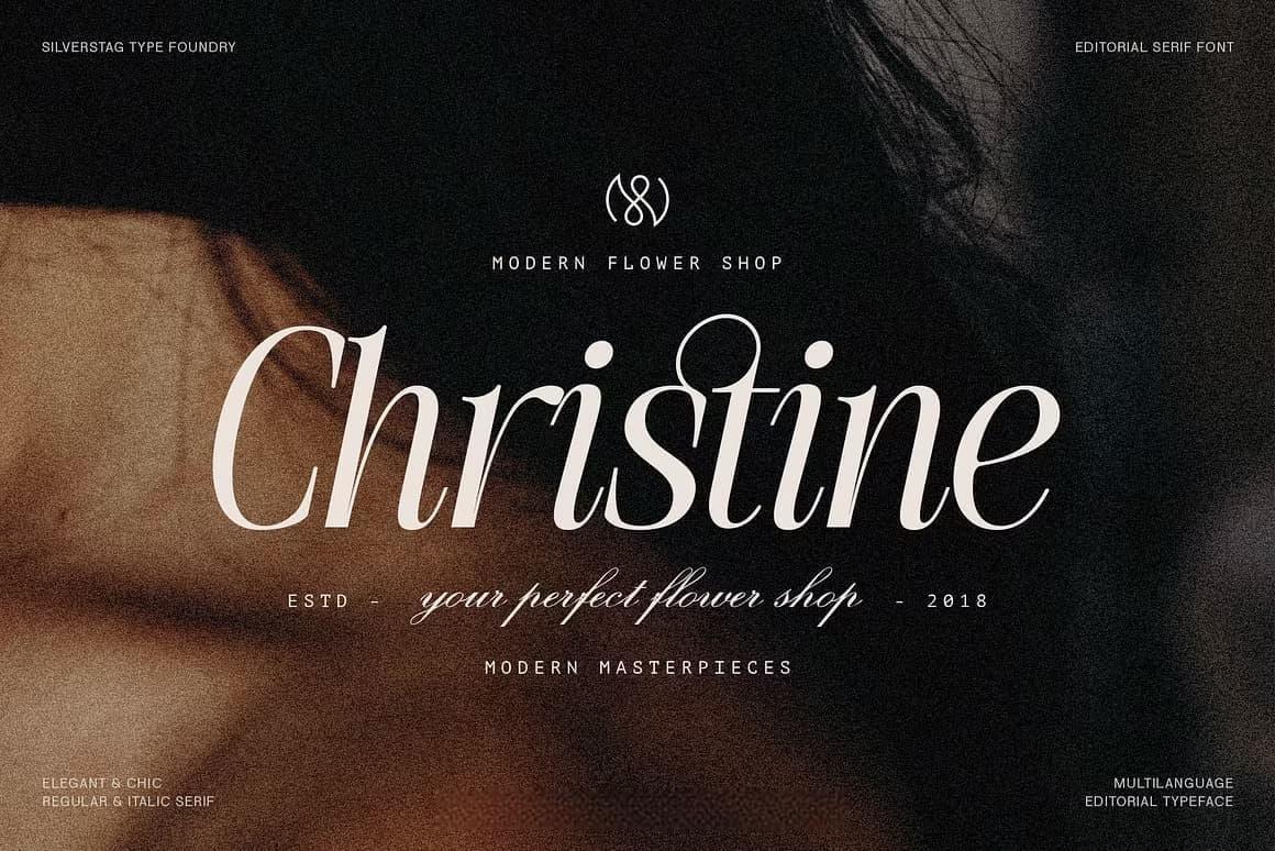 英文字体：80年代高级时装杂志文艺logo标题衬线排版海报封面字体 The Silver Editorial Serif Font（13707）