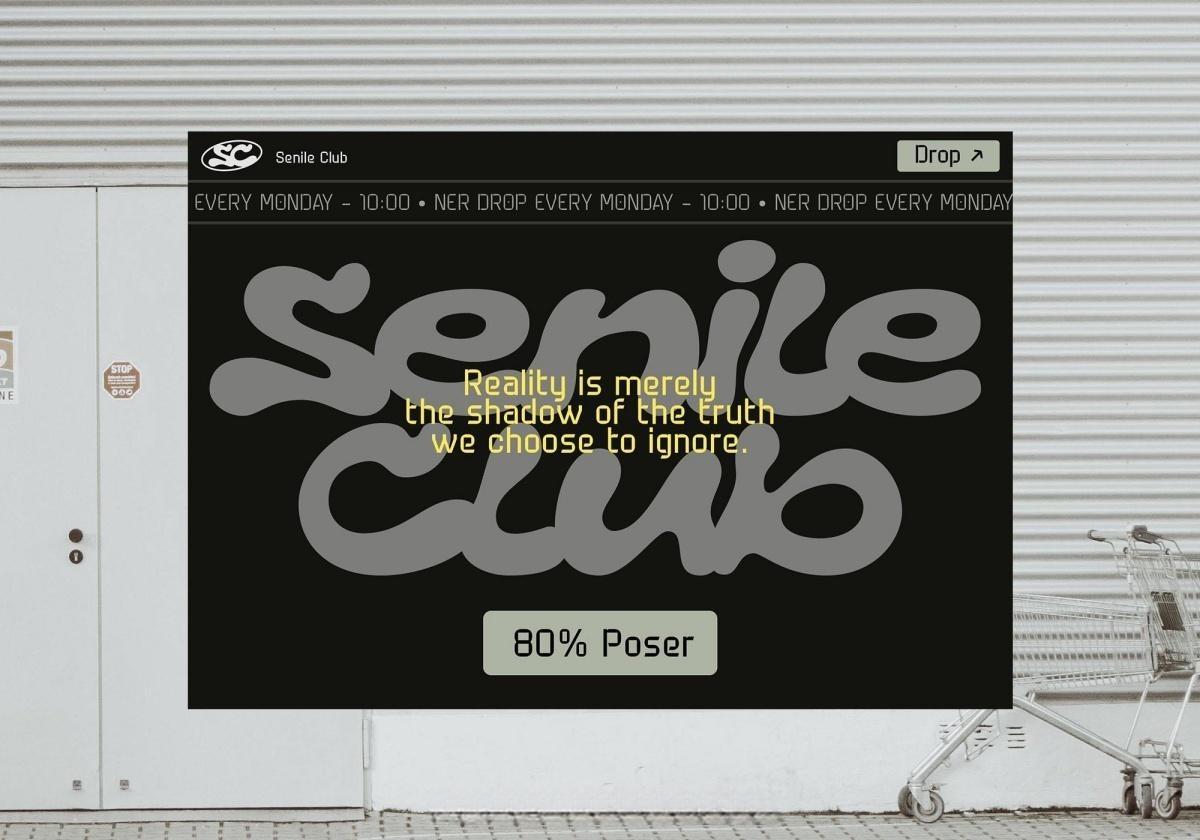 英文字体：大胆街头手写涂鸦艺术街头滑板文化logo徽标标题排版封面海报设计字体 Brivela – Display Font（13461）