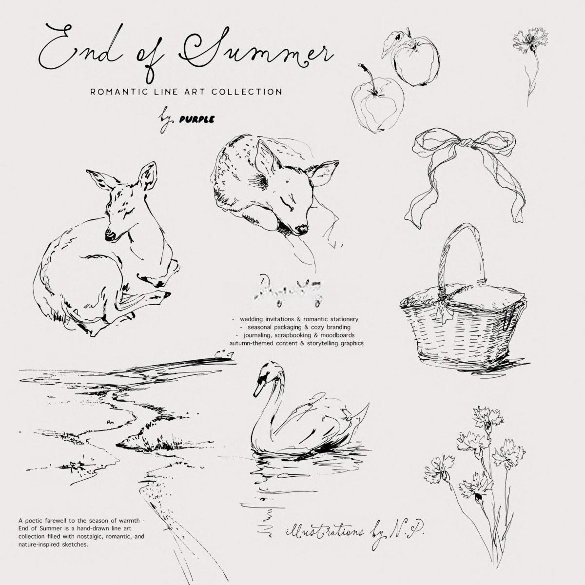 60个怀旧优雅极简手绘线条剪影干花野果宁静的风景天鹅鹿AI矢量请柬插画包装PNG图片设计素材 End of Summer: Line Art Collection（13088）