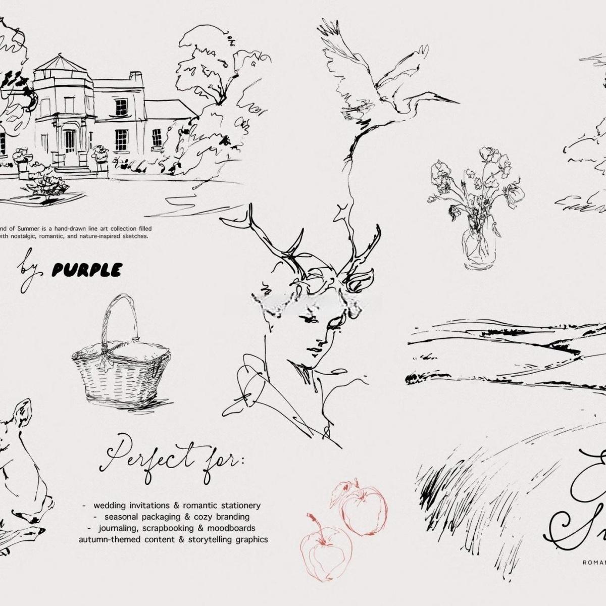 60个怀旧优雅极简手绘线条剪影干花野果宁静的风景天鹅鹿AI矢量请柬插画包装PNG图片设计素材 End of Summer: Line Art Collection（13088）