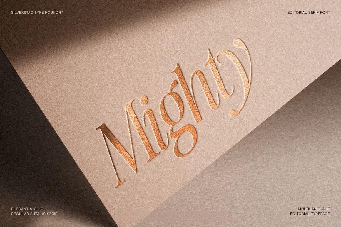英文字体：80年代高级时装杂志文艺logo标题衬线排版海报封面字体 The Silver Editorial Serif Font（13707）