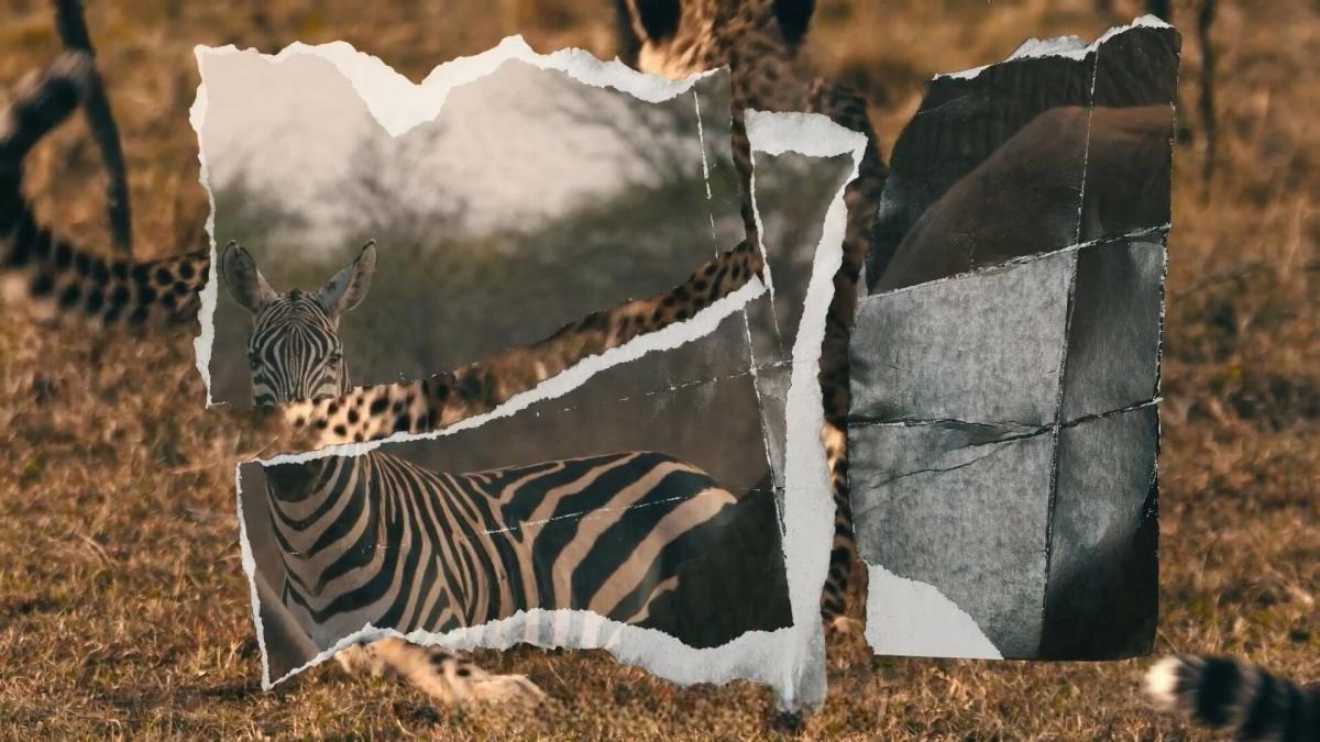 FCPX插件：56个复古做旧拼贴撕纸折纸效果转场过渡+音效（13679）