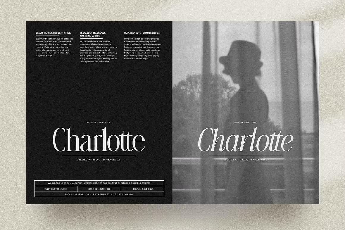 英文字体：80年代高级时装杂志文艺logo标题衬线排版海报封面字体 The Silver Editorial Serif Font（13707）