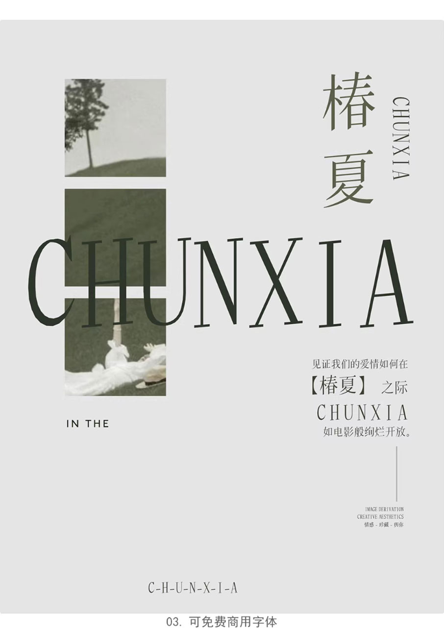 24个中式古风文艺宋体字体书籍展览海报排版视频剪辑中文字体 附带配套英文字体（13159）