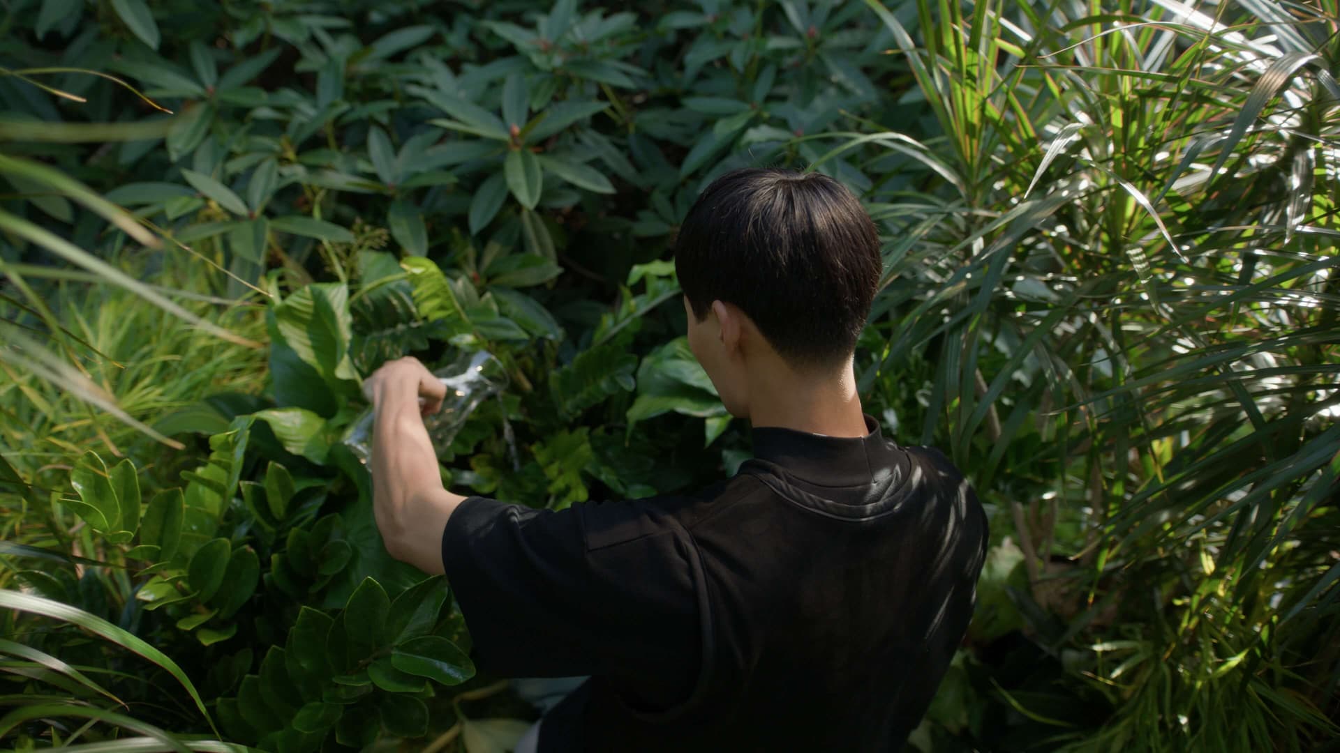 全新奈飞电影美学柯达250D胶片仿真模拟色彩外观LUT调色预设 Kodak 250D Cinematic LUTs（13460）