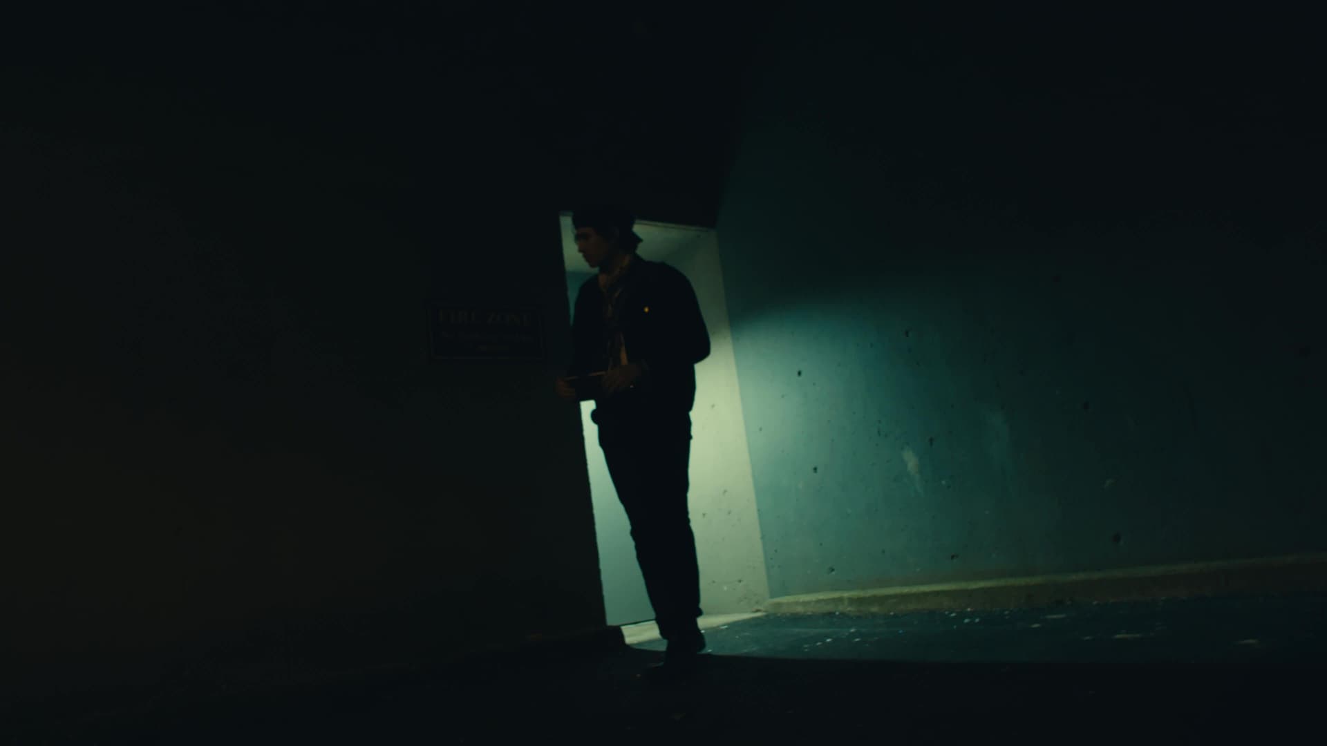 全新奈飞电影美学柯达250D胶片仿真模拟色彩外观LUT调色预设 Kodak 250D Cinematic LUTs（13460）