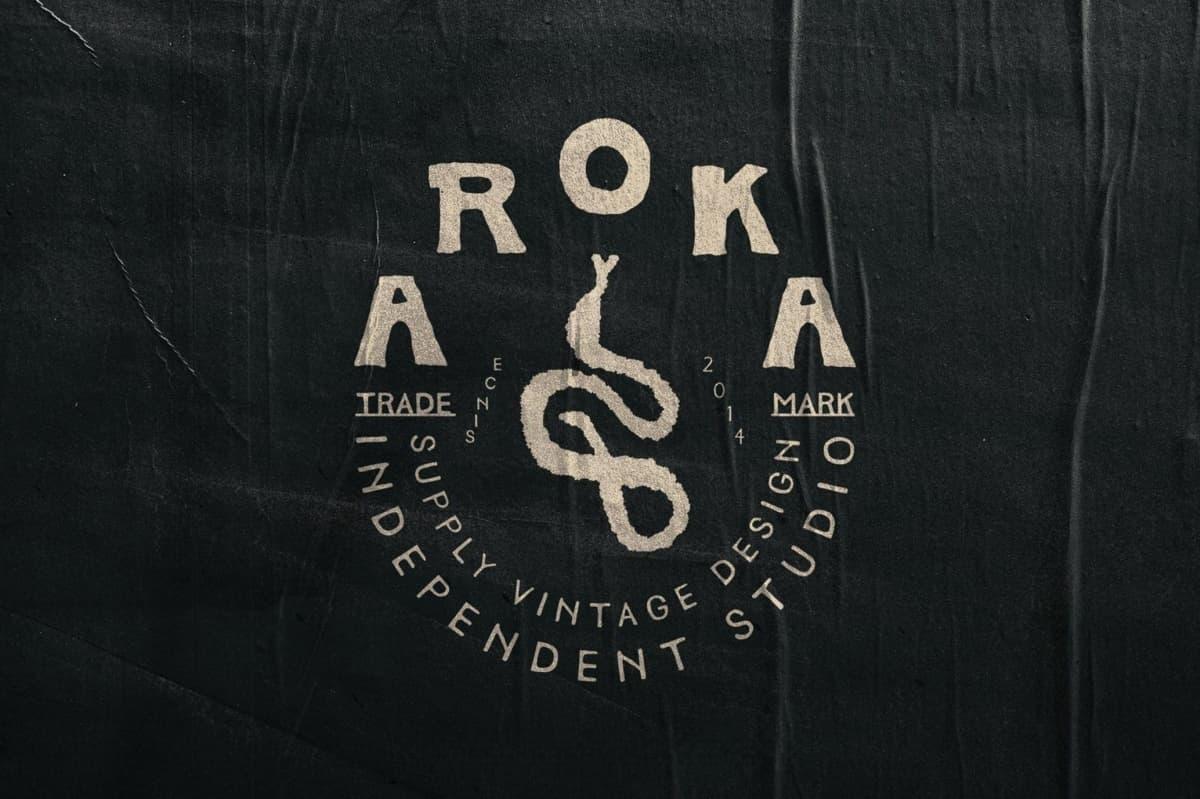 英文字体：复古松散厚实自然真实笔迹墨迹手写pop涂鸦艺术英文logo装饰字体 Sanolia Hand-Drawn Typeface（13302）