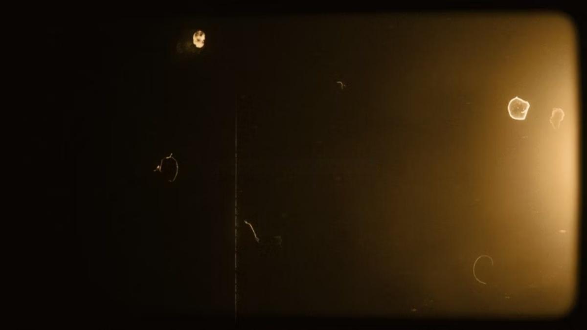 Artlist 20款复古美学邋遢旧棕褐色薄膜效果叠加纹理视频素材+音效素材 Sepia Old Sepia Vertical Film Effects（13293）