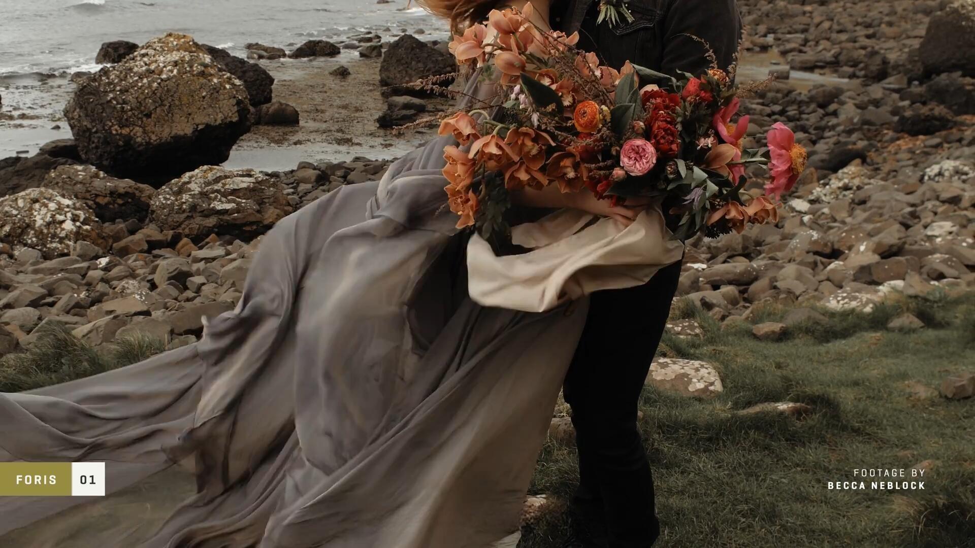 Gamut-FORIS 大胆棕绿色调婚礼、户外、风景、旅拍VLOG短片电影LUT调色预设（13227）