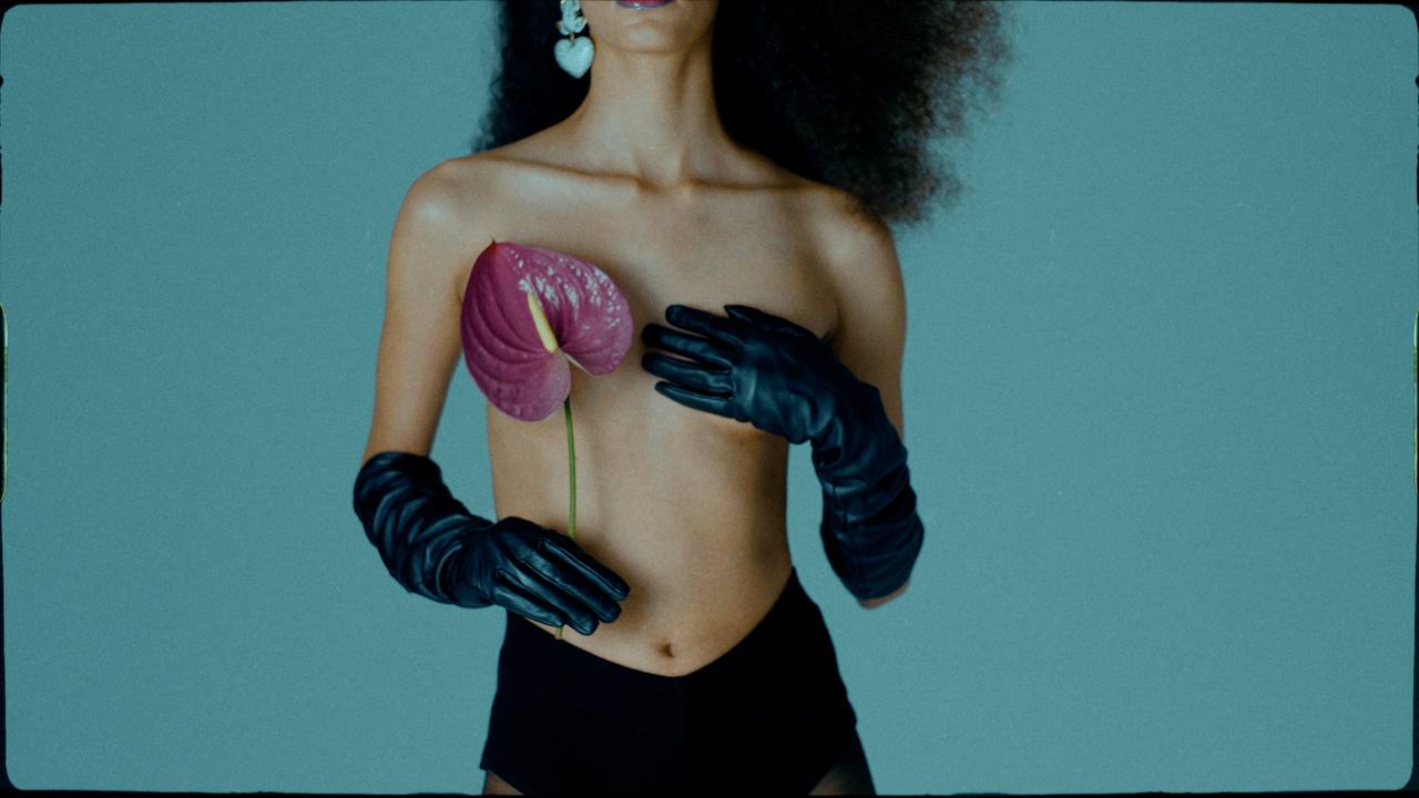 复古电影胶片色彩分级颗粒光晕模拟工具 Dehancer Pro OFX 达芬奇/FCPX/AE/PR/PS/LR Win/Mac破解版（7587）