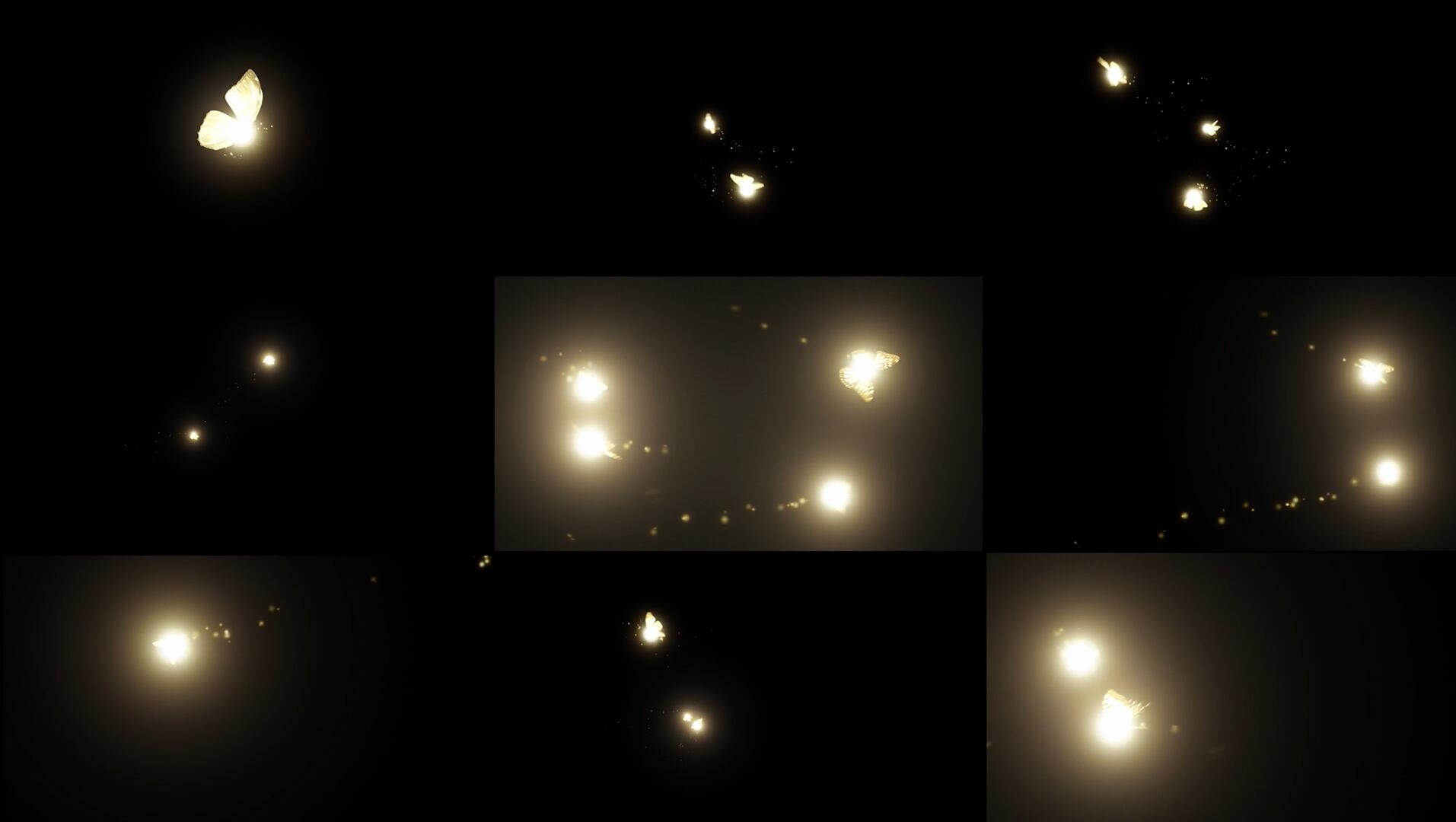 视频素材：20种梦幻闪光仙女星光魔法元素漂浮视频素材（13440）