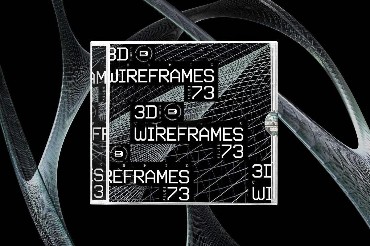 73个混沌抽象未来科幻光泽网状金属镀铬效果3D艺术线框PNG免抠素材 3D Chrome Wireframes（13039）