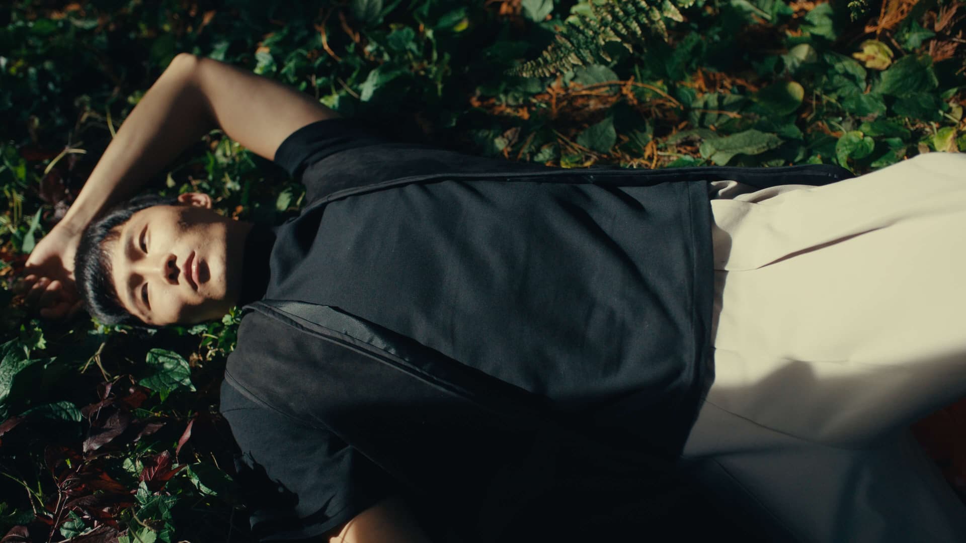 全新奈飞电影美学柯达250D胶片仿真模拟色彩外观LUT调色预设 Kodak 250D Cinematic LUTs（13460）