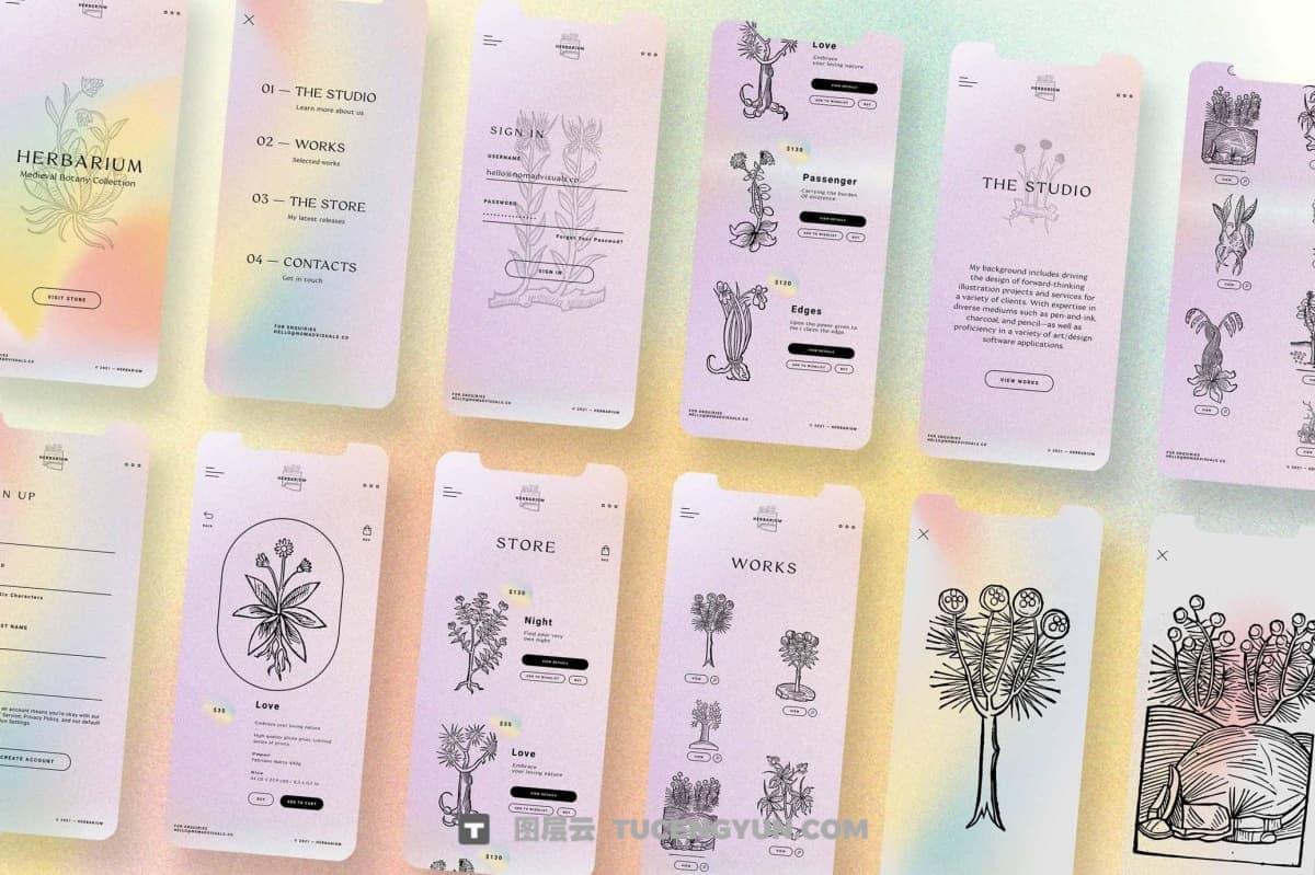 450个复古中式意境植物树枝树叶插花盆栽盆景AI矢量图形手绘插画设计套装 Herbarium Medieval Botany Collection（13346）