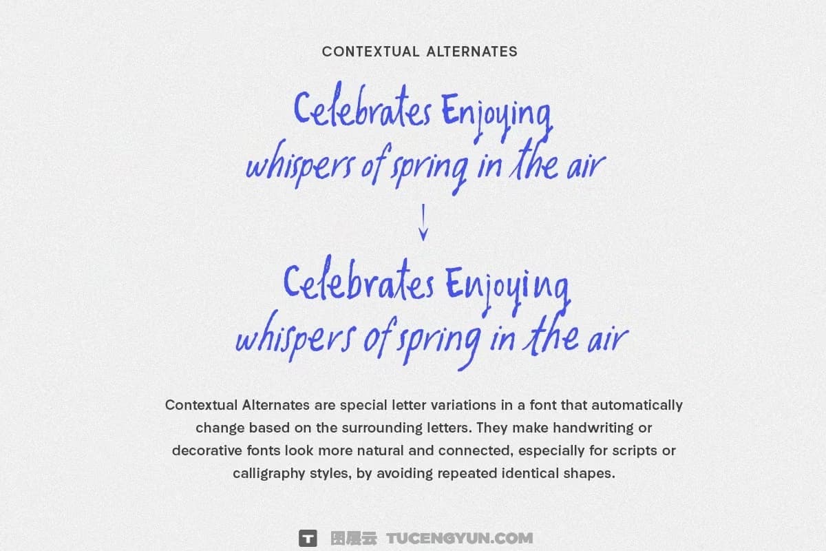 英文字体：复古潦草做旧手写风格钢笔水墨墨迹纹理笔触字体包 Oliver Whisper Messy Handwritten（13439）