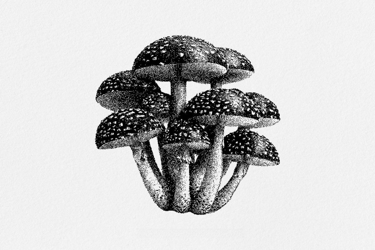 120款暗黑仿旧Y2K低保真像素颗粒位图艺术AI矢量插画图形PNG图片设计元素套装 Dark Aesthetic Dithering Graphic Bundle（13257）