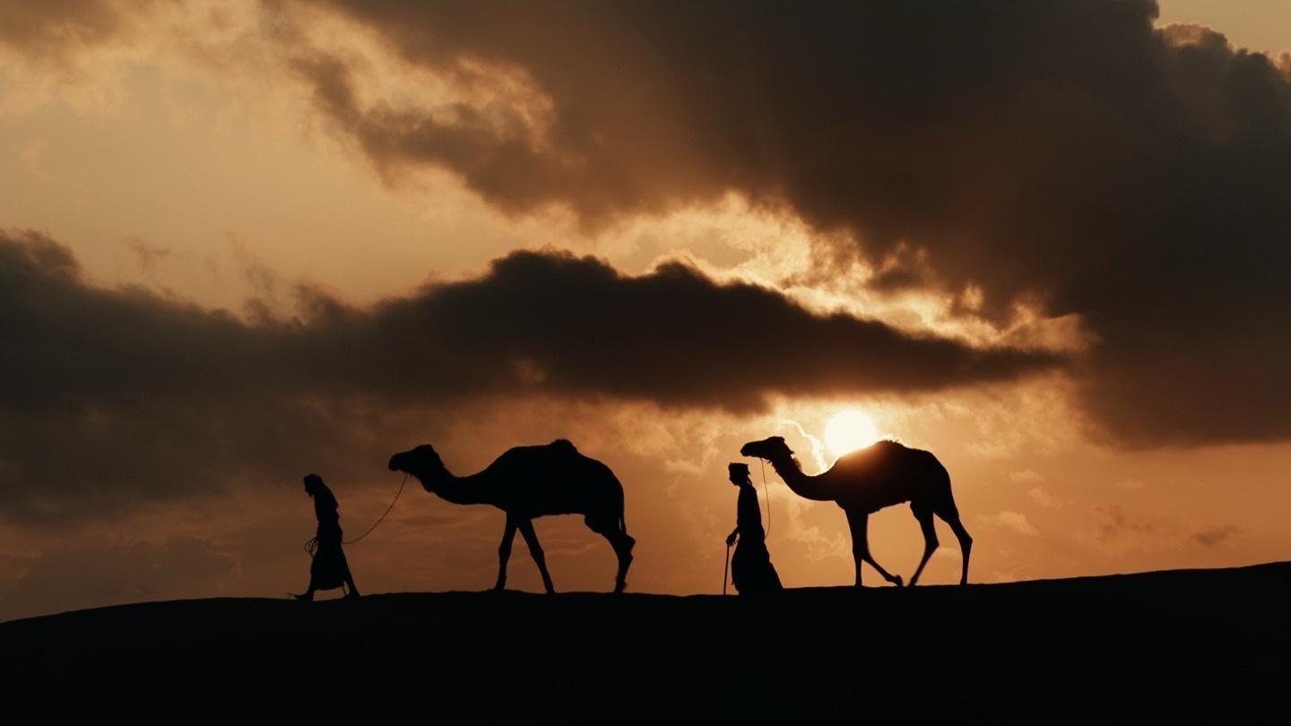 Gamut – Immersion 2.0 热门情绪氛围美学旅拍电影感LUT+练习素材+视频教程（13151）