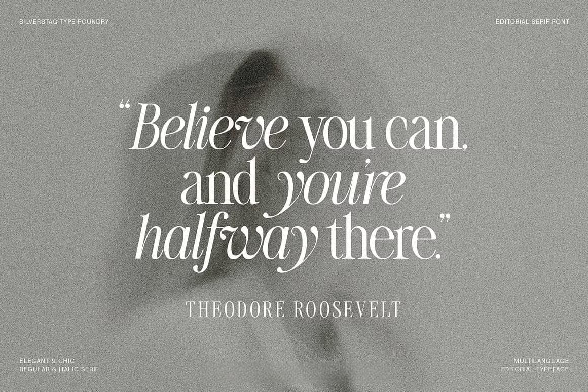 英文字体：80年代高级时装杂志文艺logo标题衬线排版海报封面字体 The Silver Editorial Serif Font（13707）