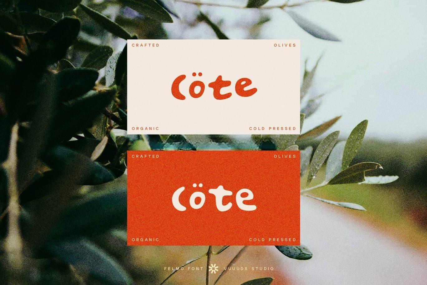 英文字体：复古俏皮厚实时髦磨损粗体logo标题无衬线封面海报设计装饰字体 felmo（13143）