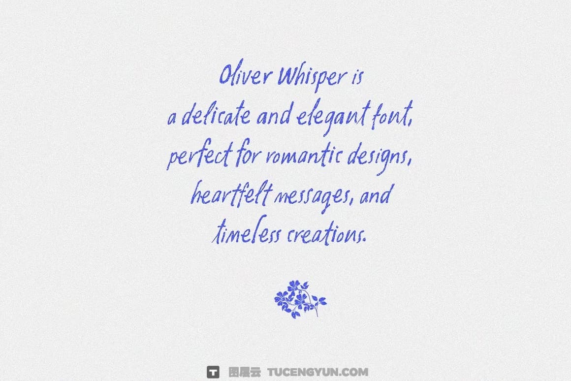 英文字体:复古潦草做旧手写风格钢笔水墨墨迹纹理笔触字体包 Oliver Whisper Messy Handwritten(13439) 英文字体:复古潦草做旧手写风格钢笔水墨墨迹纹理笔触字体包 Oliver Whisper Messy Handwritten(13439)