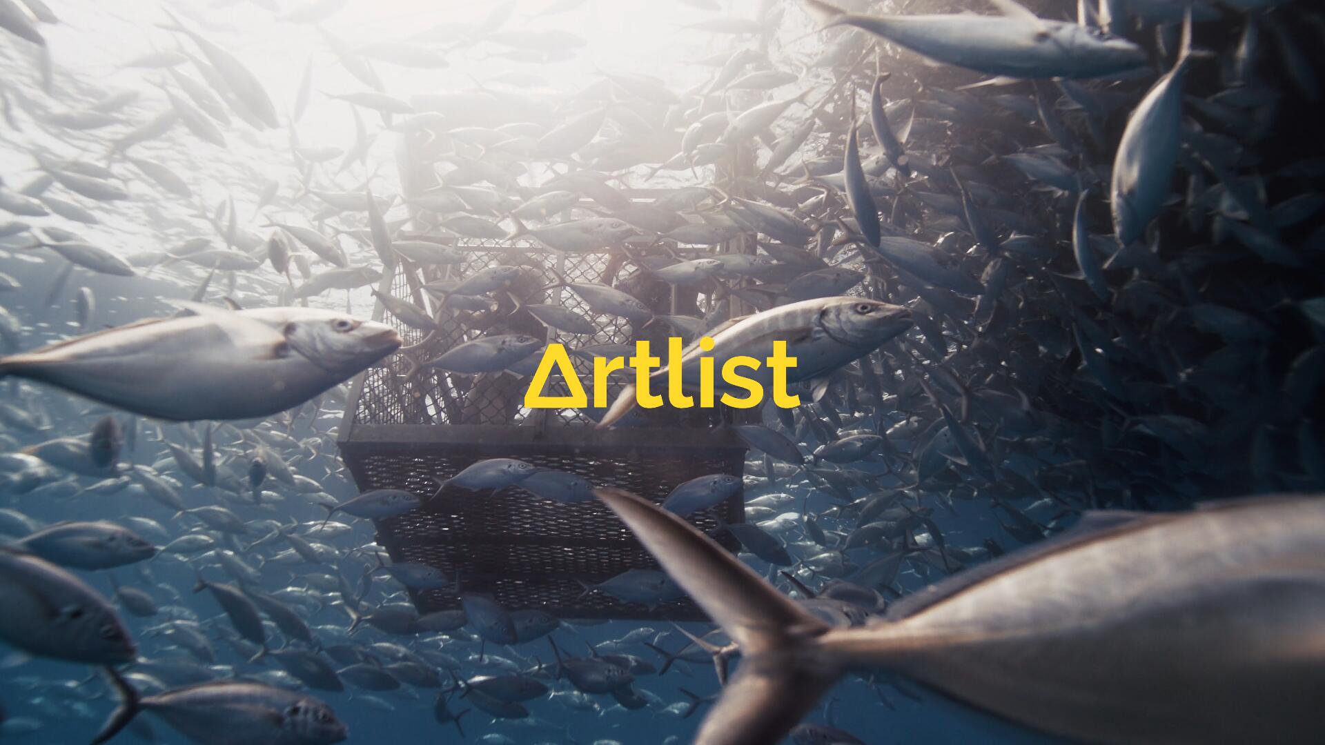 Artlist 21个热门商业广告短片摄像机实拍LOG/RAW原始灰片调色练习片段视频素材（13286）