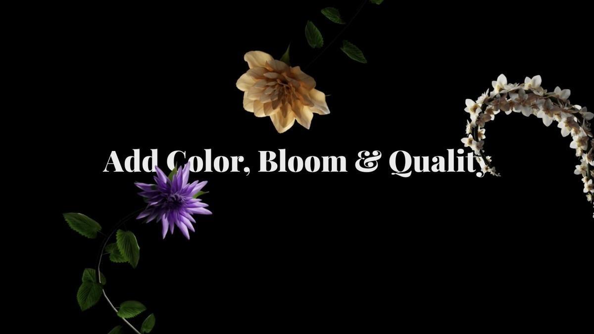 视频素材：42个梦幻情绪风格花卉生长盛开短片剪辑透明通道MOV视频素材（13454）