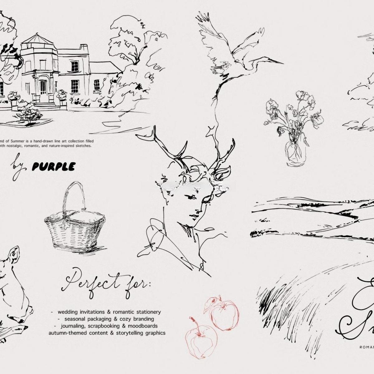 60个怀旧优雅极简手绘线条剪影干花野果宁静的风景天鹅鹿AI矢量请柬插画包装PNG图片设计素材 End of Summer: Line Art Collection（13088）