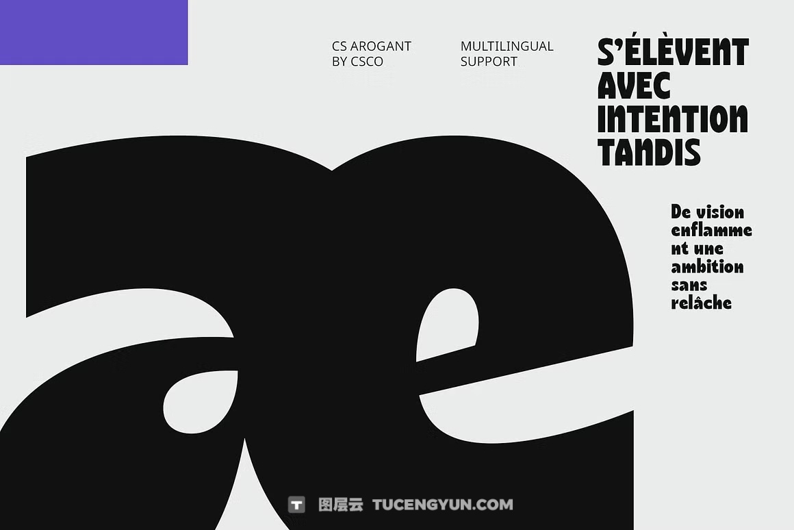 英文字体：复古趣味圆润粗体logo标题排版无衬线字体 CS Arogant – Bold Font（13438）