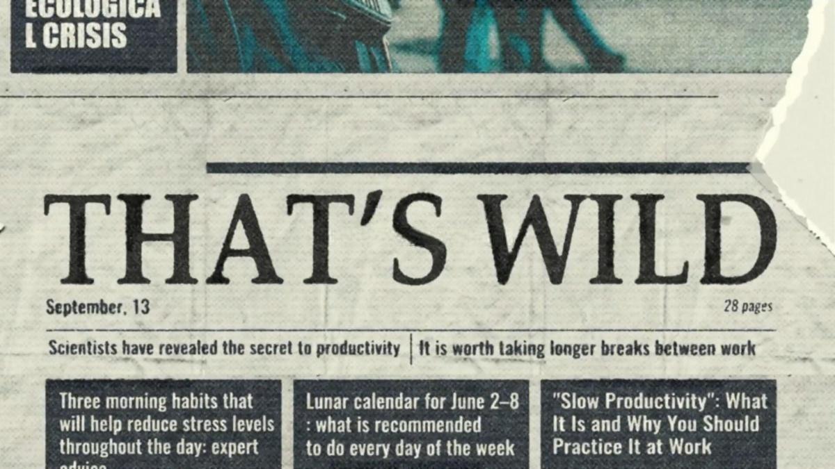 AE/PR模板：真实头版标题文章4K杂志报纸特写新闻报道设计排版电影片头模板（12720）