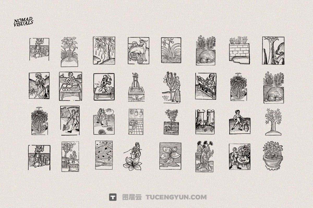 450个复古中式意境植物树枝树叶插花盆栽盆景AI矢量图形手绘插画设计套装 Herbarium Medieval Botany Collection（13346）