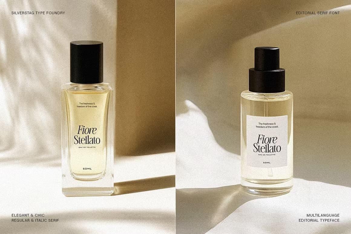 英文字体：80年代高级时装杂志文艺logo标题衬线排版海报封面字体 The Silver Editorial Serif Font（13707）