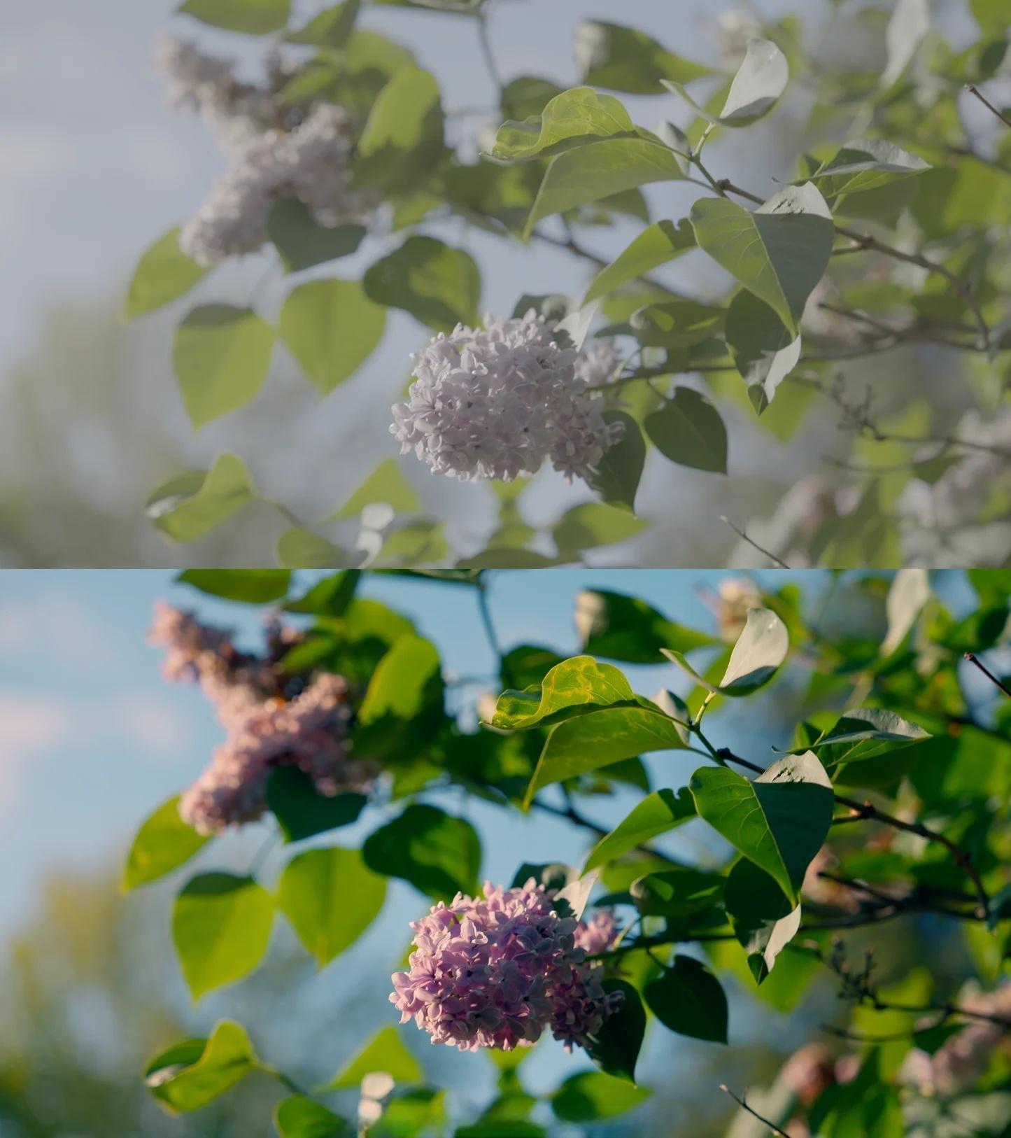 复古落日余辉氛围、冰川青、青橙色电影感色彩分级LUT调色预设+视频教程（13616）