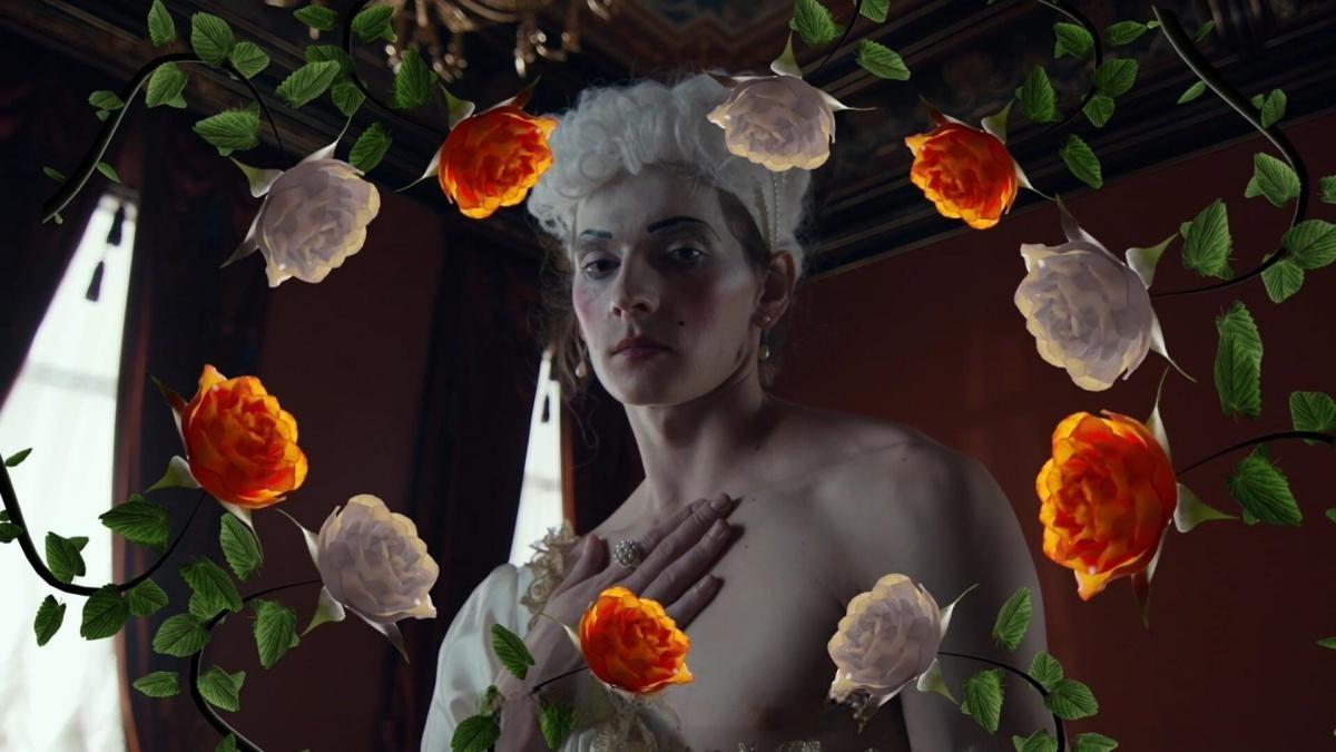 视频素材：42个梦幻情绪风格花卉生长盛开短片剪辑透明通道MOV视频素材（13454）