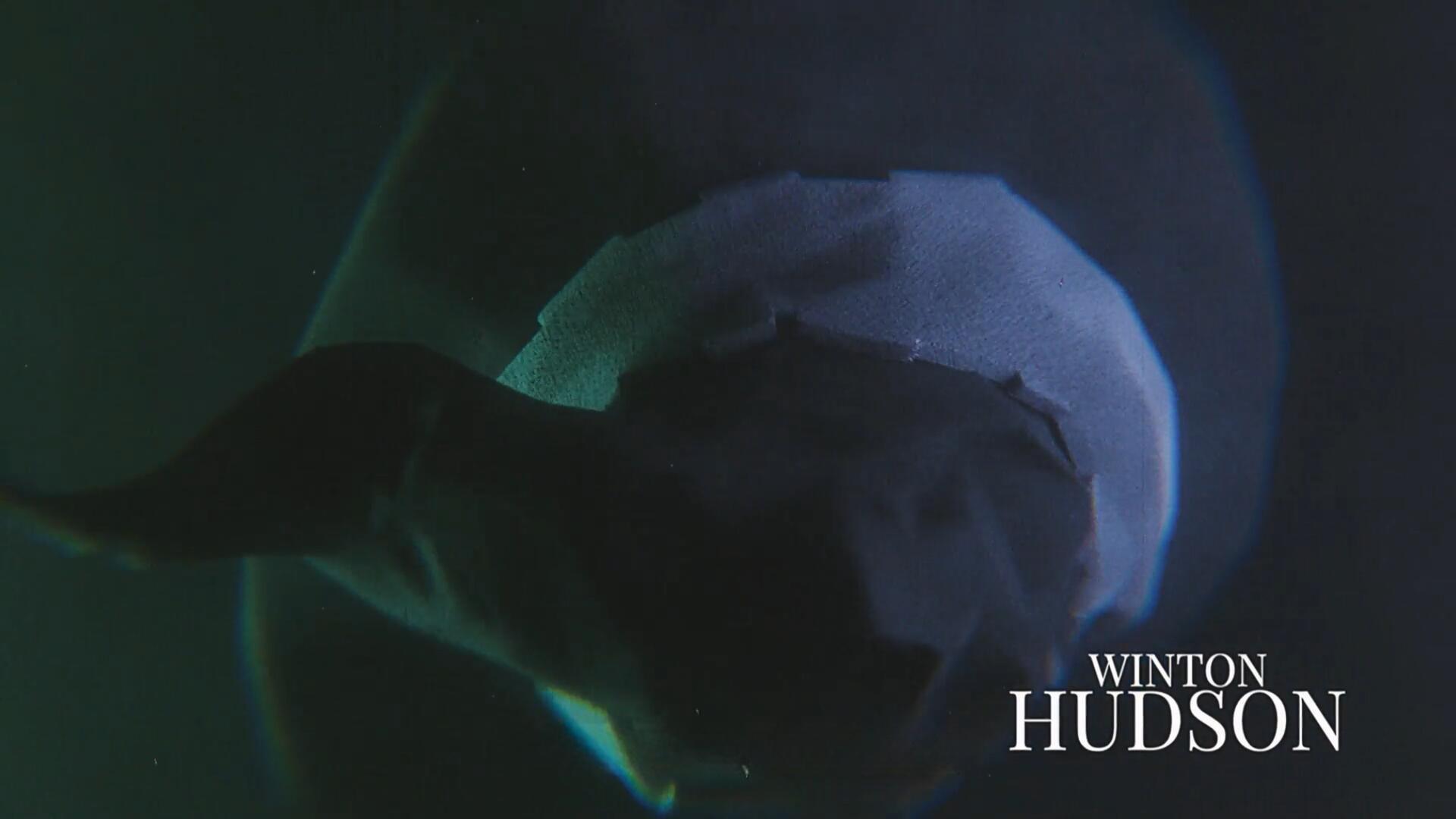 AE模板：诡异恐怖惊悚万圣节邪恶电影广告预告片开场片头动画（13183）