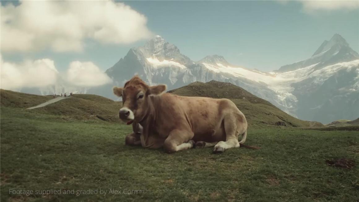 达芬奇/AE/PR/FCPX插件：复古梦幻胶片光晕薄膜晕轮胶片电影美感效果插件 FILMCONVERT – HALATION Win/Mac破解版（11228）