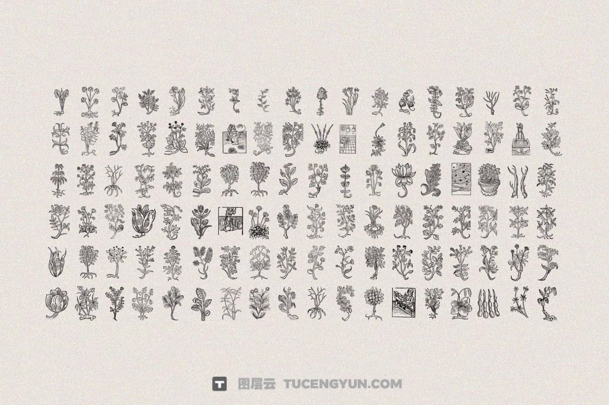 450个复古中式意境植物树枝树叶插花盆栽盆景AI矢量图形手绘插画设计套装 Herbarium Medieval Botany Collection（13346）