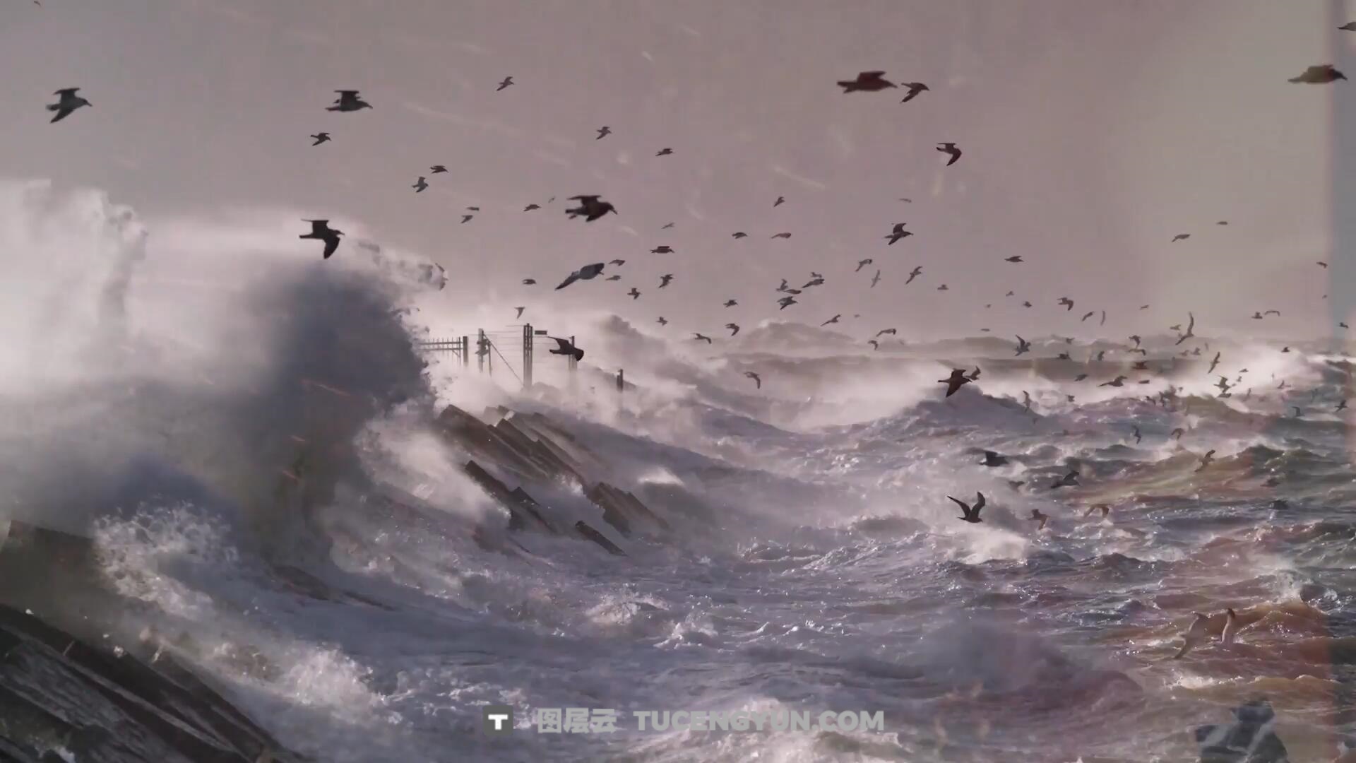 AE模板：一键式复古胶片模拟、泛光、模糊、抖动、灰尘、烧伤无缝转场过渡 支持横/竖屏（13416）