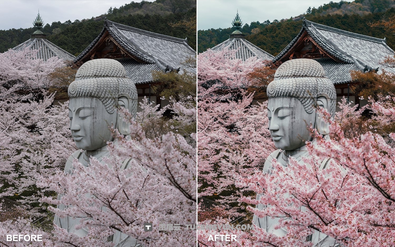 LR预设:独特风格旅行、自然风景、街拍摄影Lightroom预设 Peter Yan Studio – The Master Collection Lightroom Presets(13851) LR预设:独特风格旅行、自然风景、街拍摄影Lightroom预设 Peter Yan Studio – The Master Collection Lightroom Presets(13851)