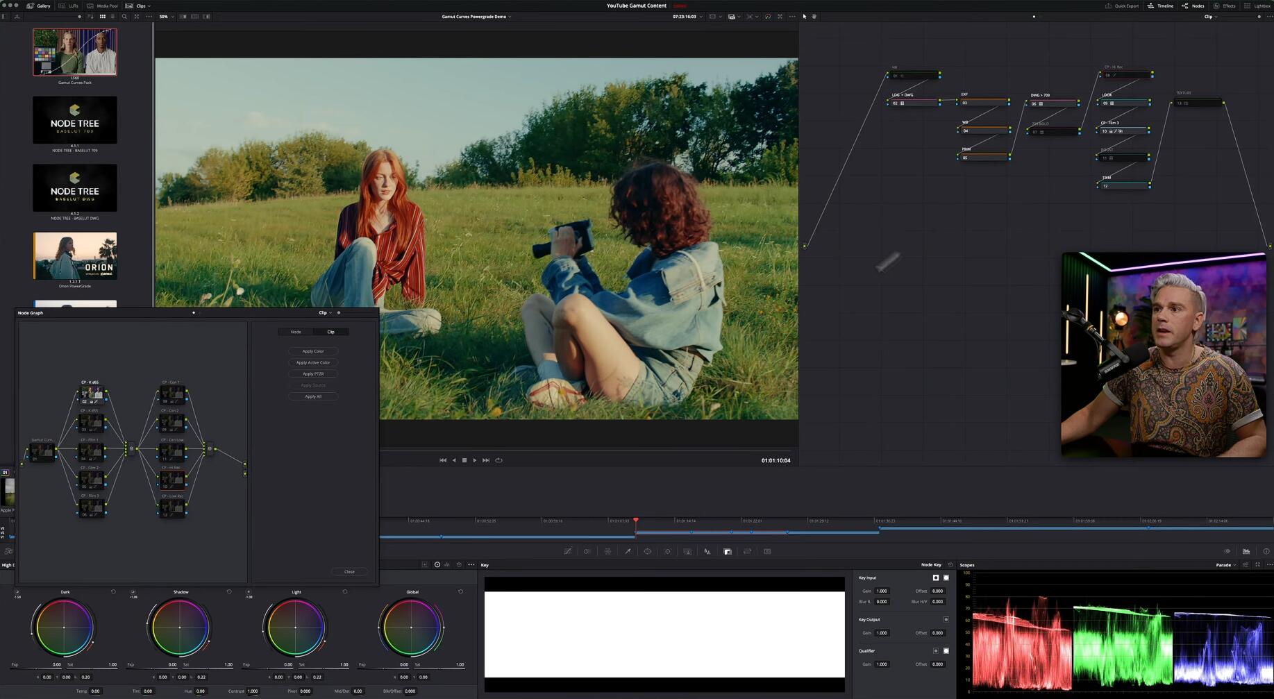 独特电影感色彩外观开发曲线LUTs+达芬奇调色节点 Gamut Curves LUTs + Powergrade（13960）