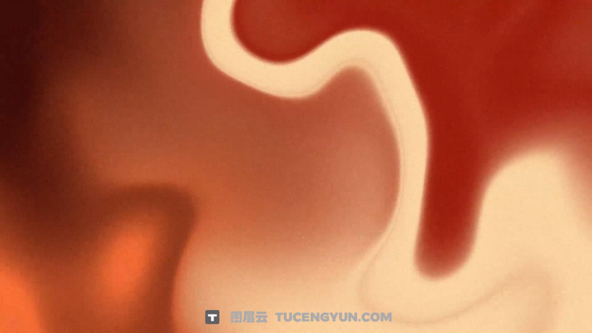 AE模板：大胆抽象模糊混合流动几何渐变液体波浪视频背景动画模板（13948）