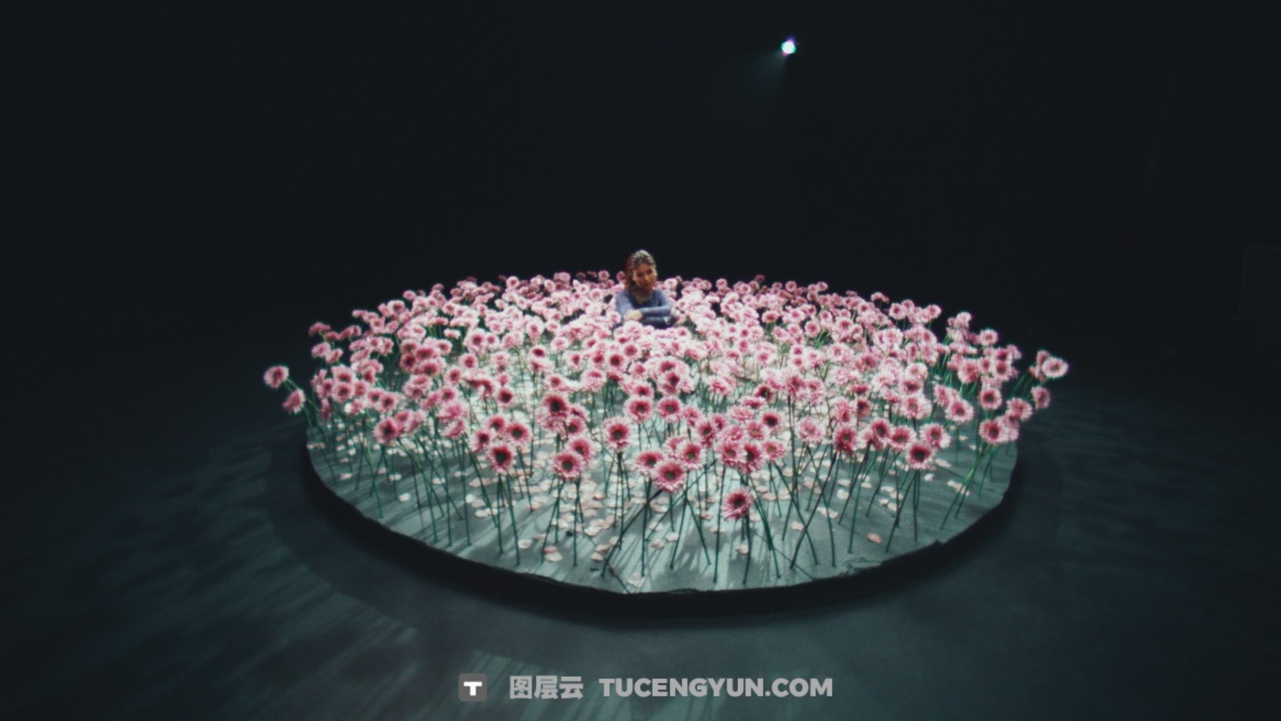 经典电影感柯达2383胶片仿真模拟LUT调色预设 GAMUT – X88 LUTs（13816）