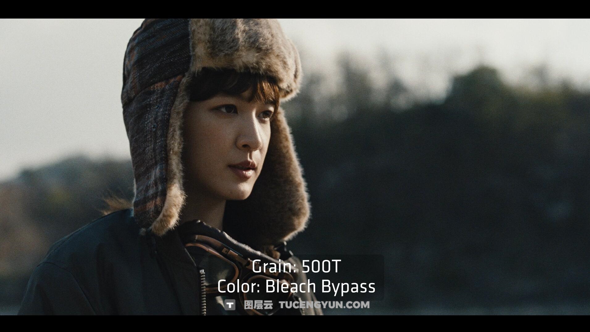 达芬奇插件：ARRI出品经典胶片模拟视频影像调色插件 ARRI Film Lab 1.0.2 for Resolve WIN版（14010）