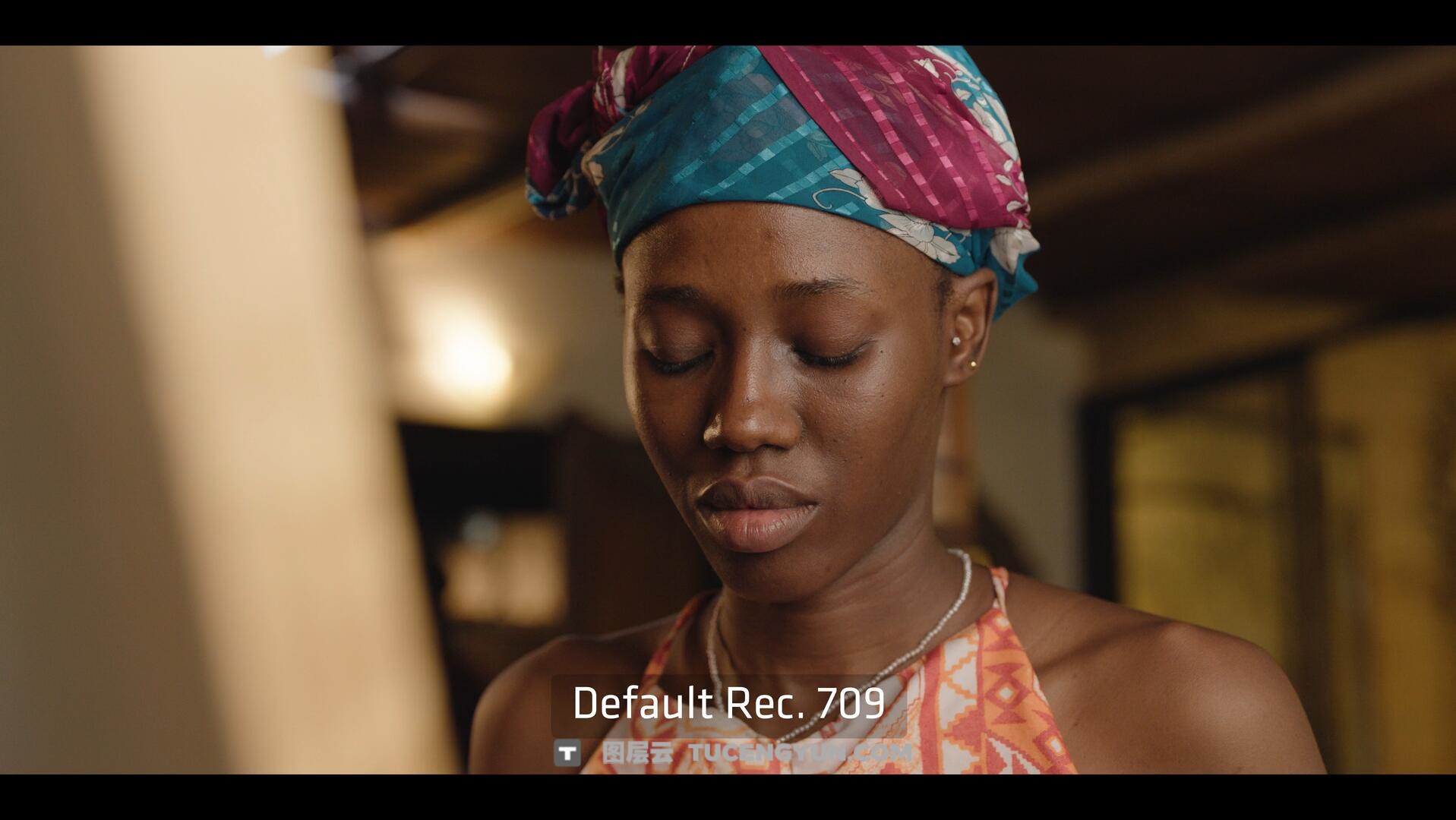 达芬奇插件：ARRI出品经典胶片模拟视频影像调色插件 ARRI Film Lab 1.0.2 for Resolve WIN版（14010）