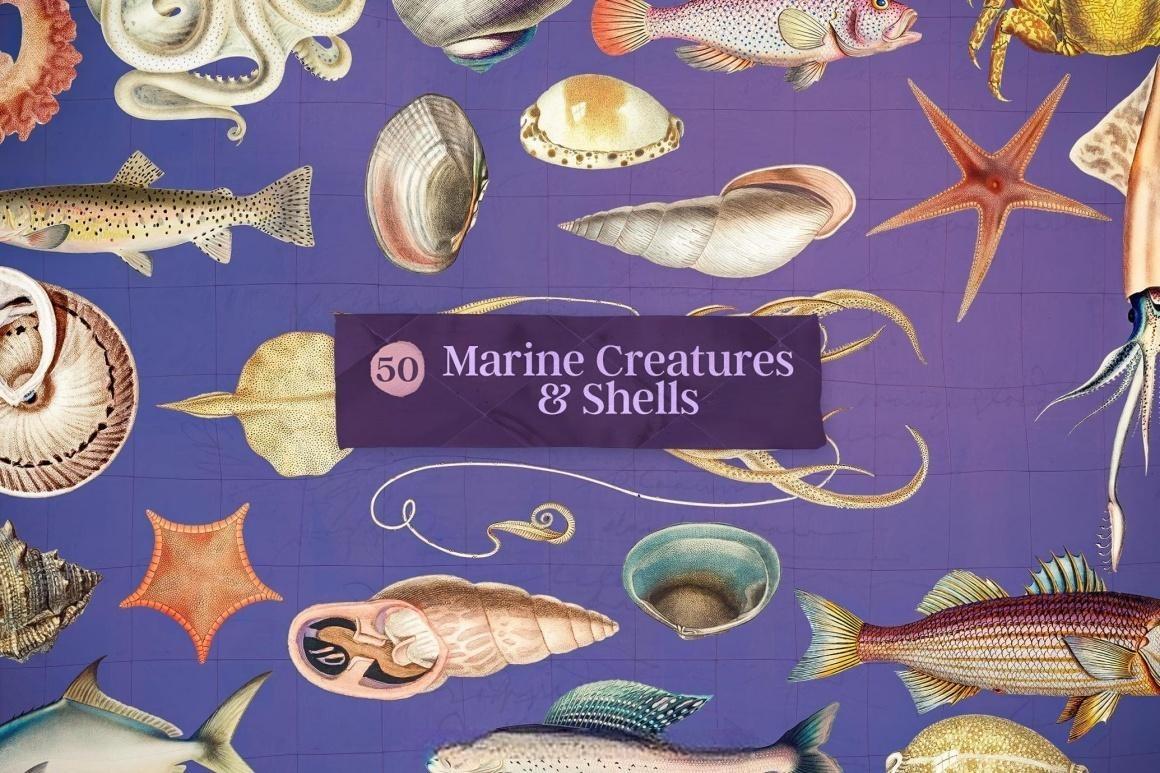 100个超现实主义拼贴艺术海洋神话西方油画塔罗牌画作图片珠宝贝壳PNG免扣图片插画素材 Sirens — Vintage Graphics Pack（13017）