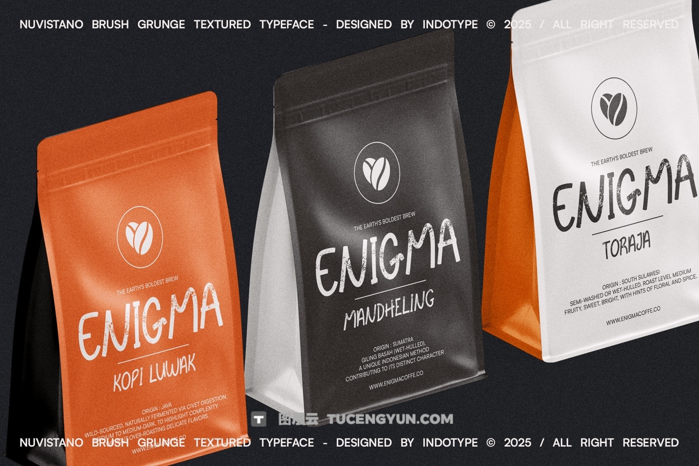 英文字体：大胆野性粗糙磨损边缘画笔油漆飞溅纹理封面海报设计无衬线字体（13853）