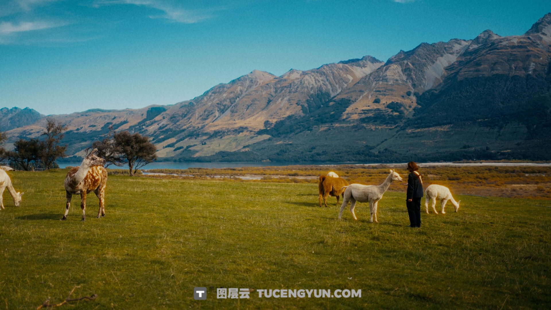复古清新假日胶片风格电影感旅拍广告短片达芬奇调色节点PowerGrade预设 支持S Log3、Rec 709 和 D LogM（13952）