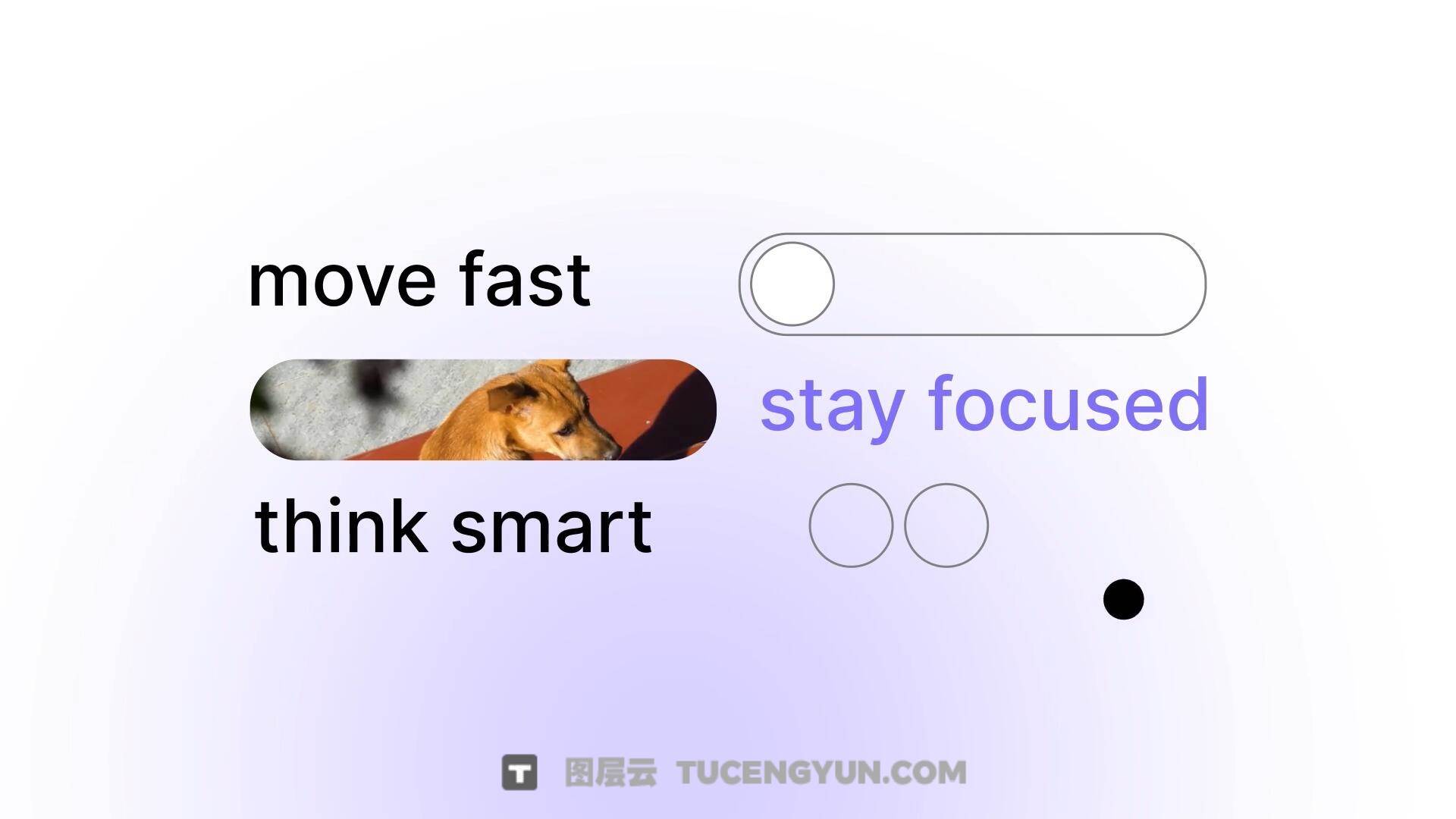 AE模板：创意级SaaS品牌数字服务产品介绍短片动画（13857）
