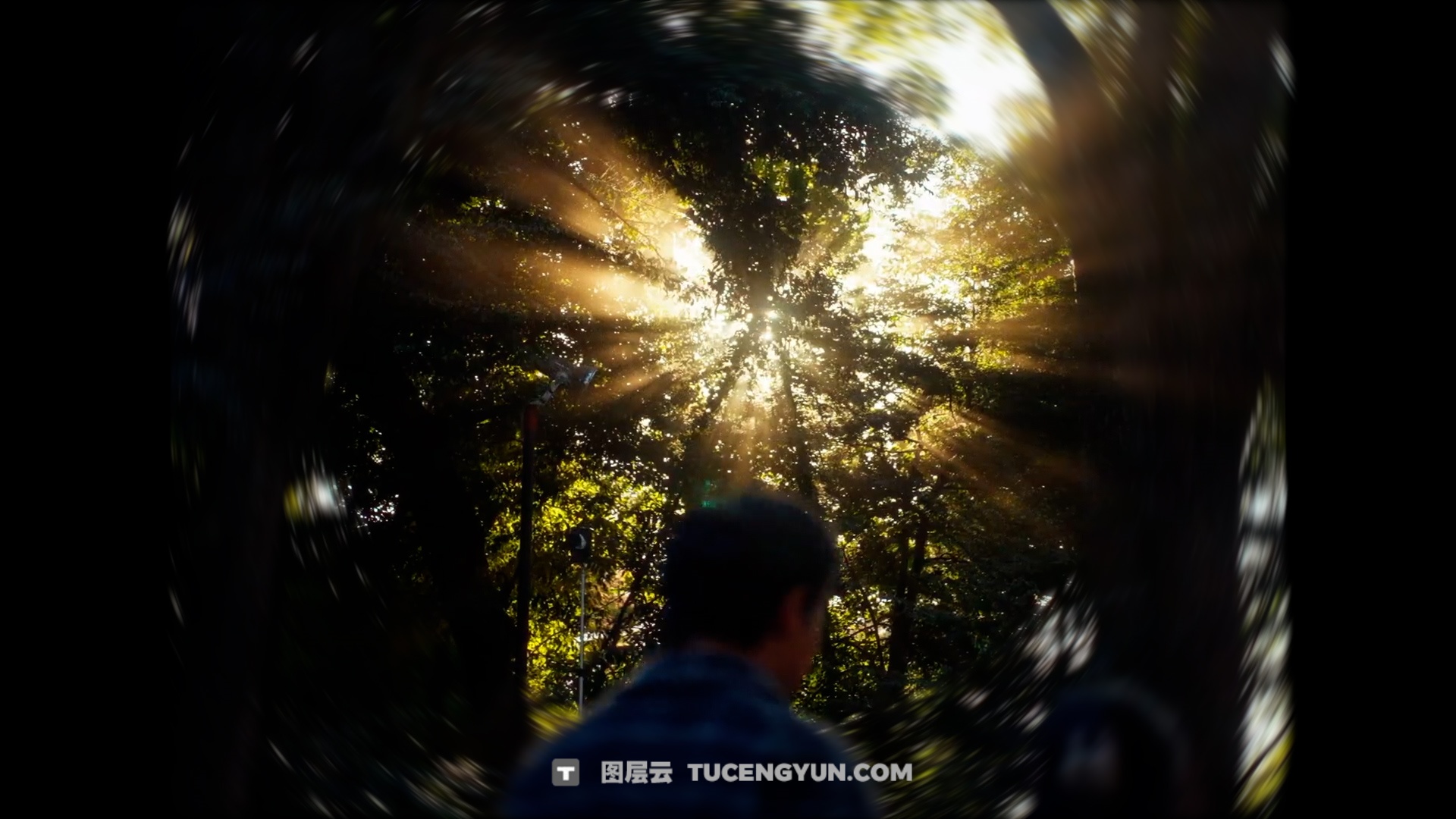 FCPX插件：热门梦幻氛围旋焦效果预设（13945）