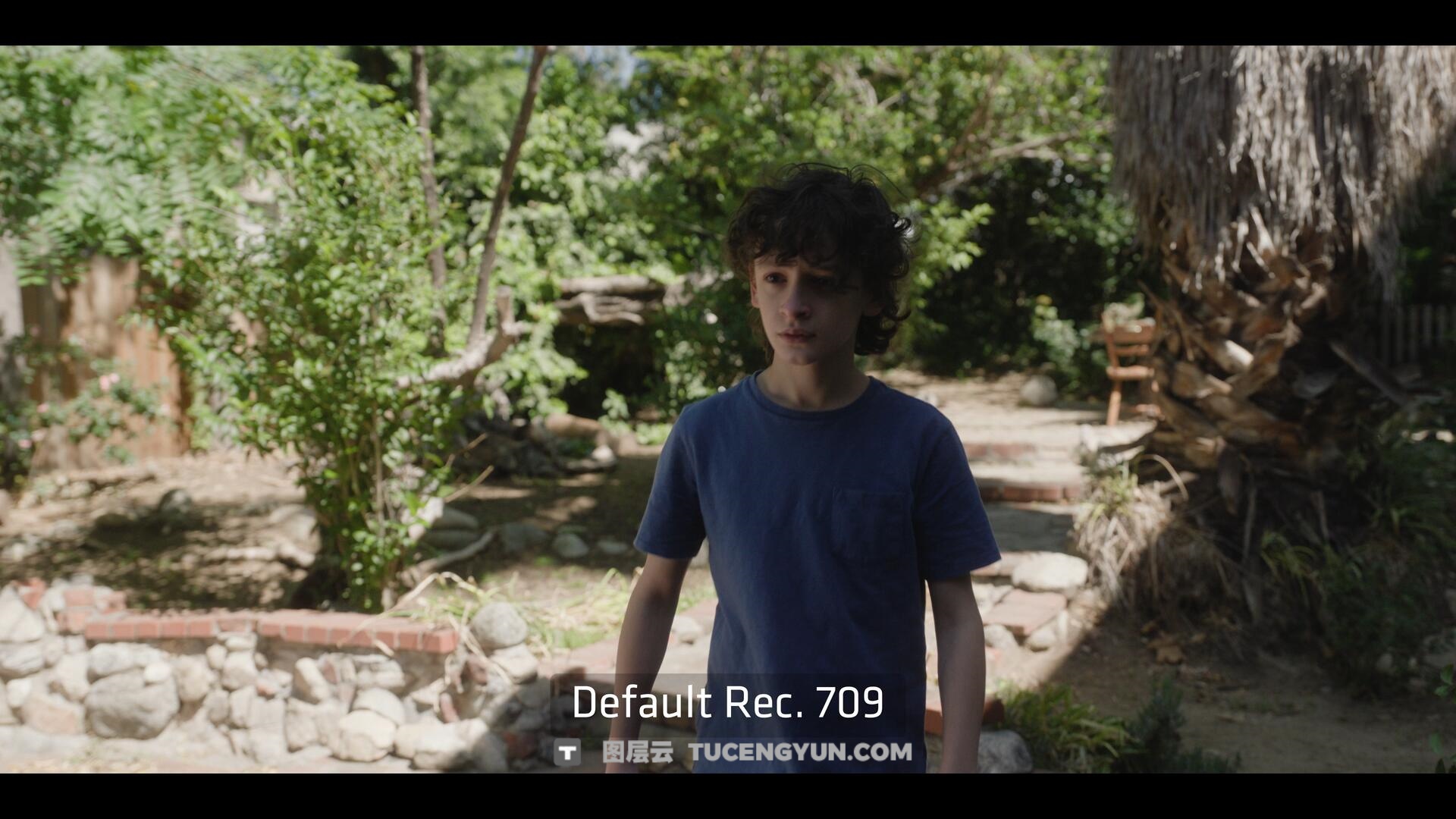 达芬奇插件：ARRI出品经典胶片模拟视频影像调色插件 ARRI Film Lab 1.0.2 for Resolve WIN版（14010）